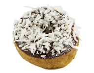 Chocolate Iced Coconut Donut