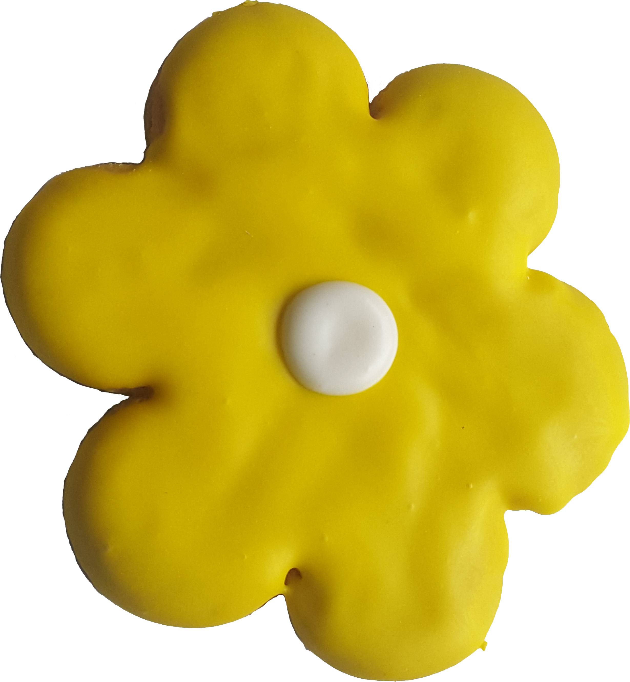 Flower Yellow Daisy