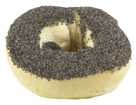 Poppy Seed Bagel