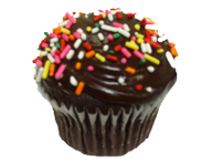 Double Chocolate Cupcake